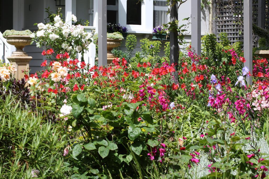 קאווס Holmwood Guesthouse מראה חיצוני תמונה